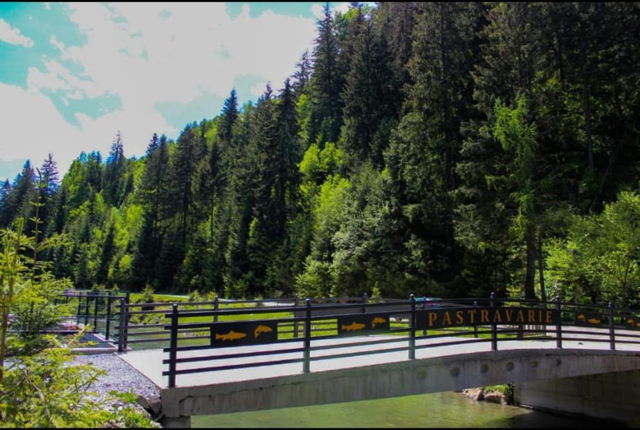 Cabana Nemtucu Borsa  Bagian luar foto